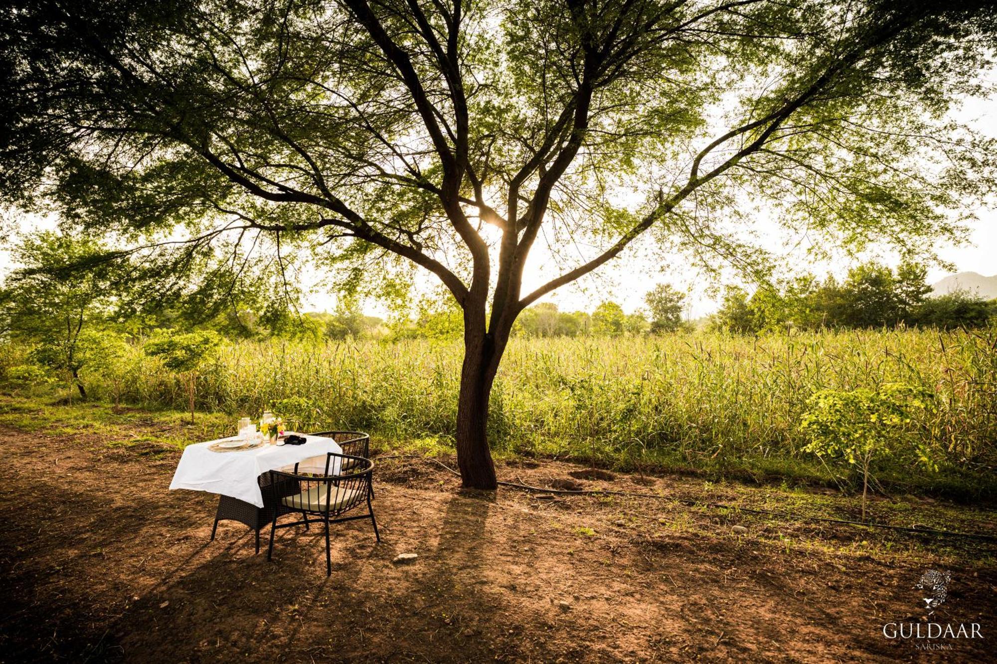 Guldaar Sariska - A Luxury Forest Resort Tehla Eksteriør billede